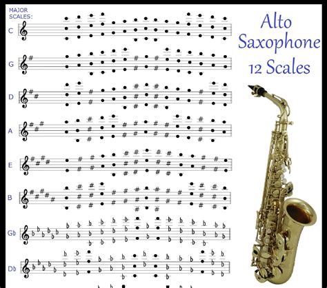 Saxi music, videos, stats, and photos .